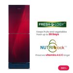 Refrigerator Glass 260 Liter Singer NutriLock-Red
