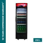 SINGER Beverage Cooler | 250BX | 250 Ltr