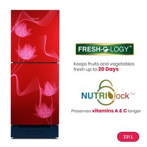 Refrigerator Glass 231 Liter Singer NutriLock-Red